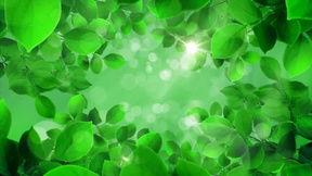 国产绿色正能量视频,国产视频传递生态环保新风尚